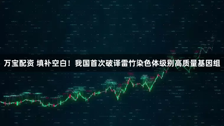 万宝配资 填补空白！我国首次破译雷竹染色体级别高质量基因组