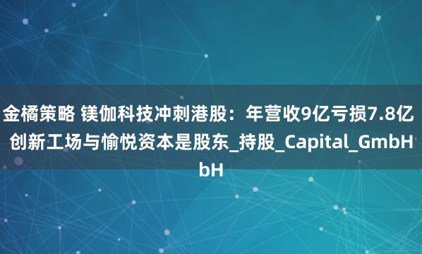 金橘策略 镁伽科技冲刺港股：年营收9亿亏损7.8亿 创新工场与愉悦资本是股东_持股_Capital_GmbH