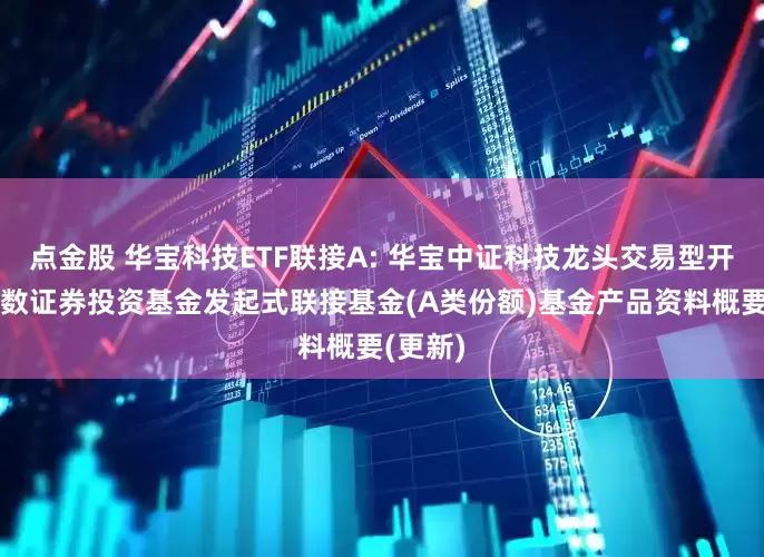 点金股 华宝科技ETF联接A: 华宝中证科技龙头交易型开放式指数证券投资基金发起式联接基金(A类份额)基金产品资料概要(更新)