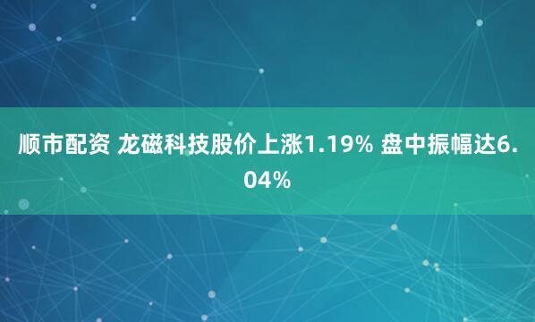 顺市配资 龙磁科技股价上涨1.19% 盘中振幅达6.04%