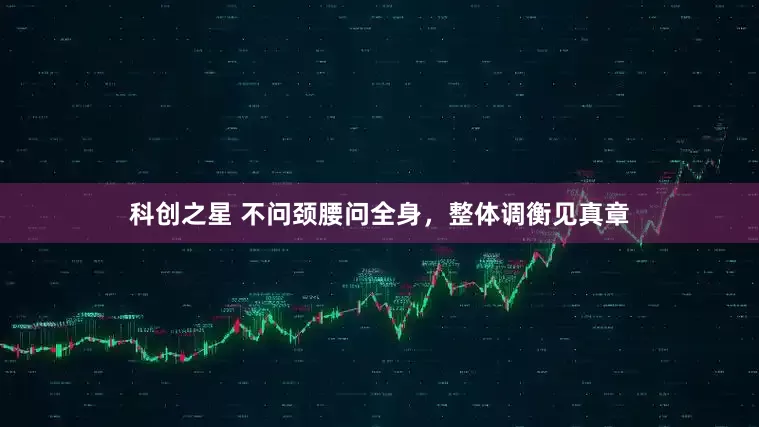 科创之星 不问颈腰问全身，整体调衡见真章
