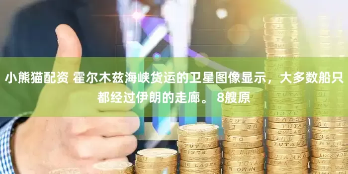 小熊猫配资 霍尔木兹海峡货运的卫星图像显示，大多数船只都经过伊朗的走廊。 8艘原